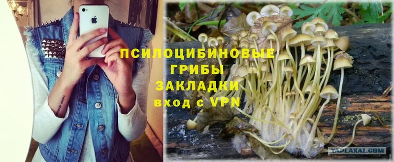 Галлюциногенные грибы Magic Shrooms  Камызяк 